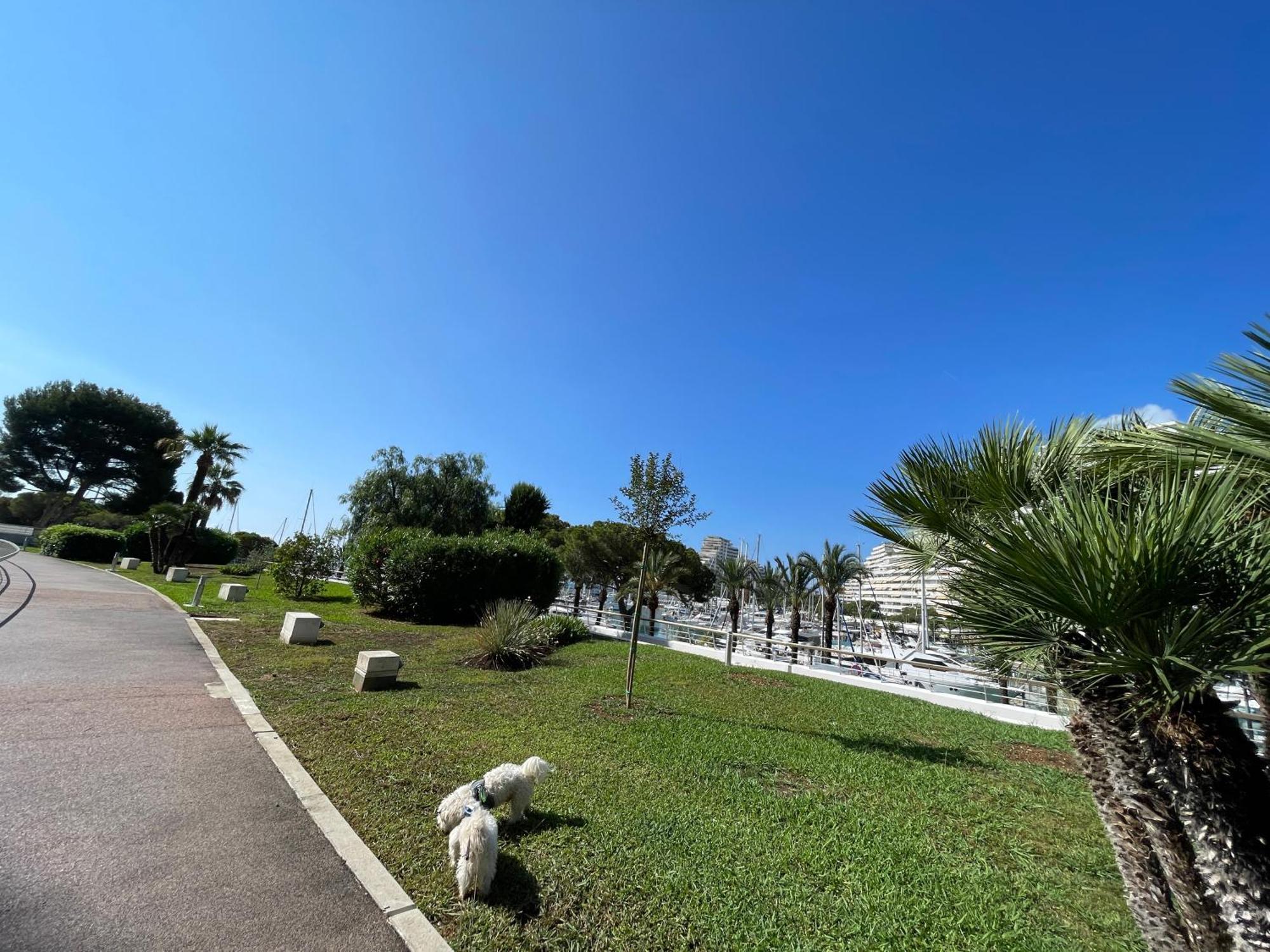 Studio A 2 Pas De La Plage Villeneuve-Loubet Eksteriør billede